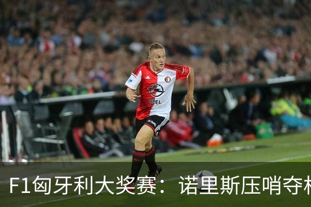 F1匈牙利大奖赛：诺里斯压哨夺杆
